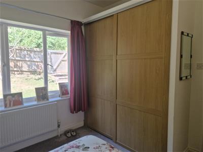 Picture 12
